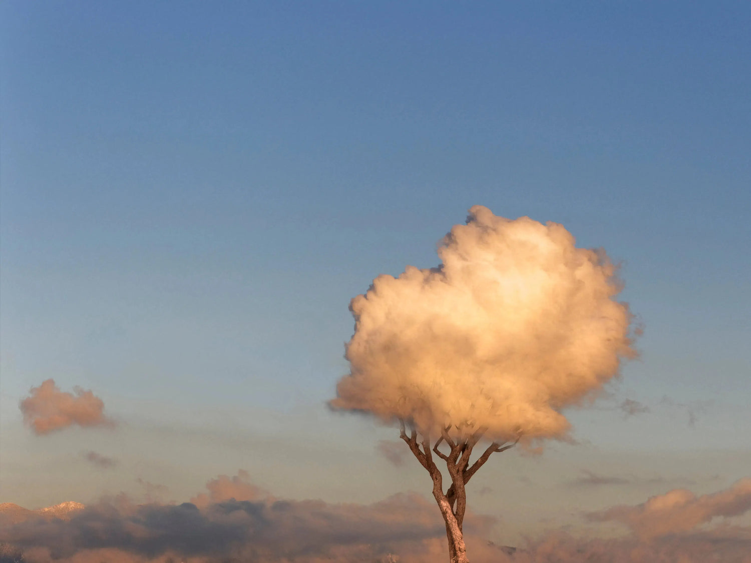 A New Day, by Gillian Lindsay-PurePhoto