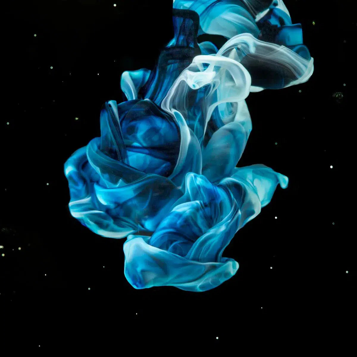 A Starry Night, by Javiera Estrada-PurePhoto