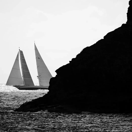 Adela, by Cory Silken-PurePhoto