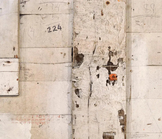 Aftermath 224, by Gillian Lindsay-PurePhoto