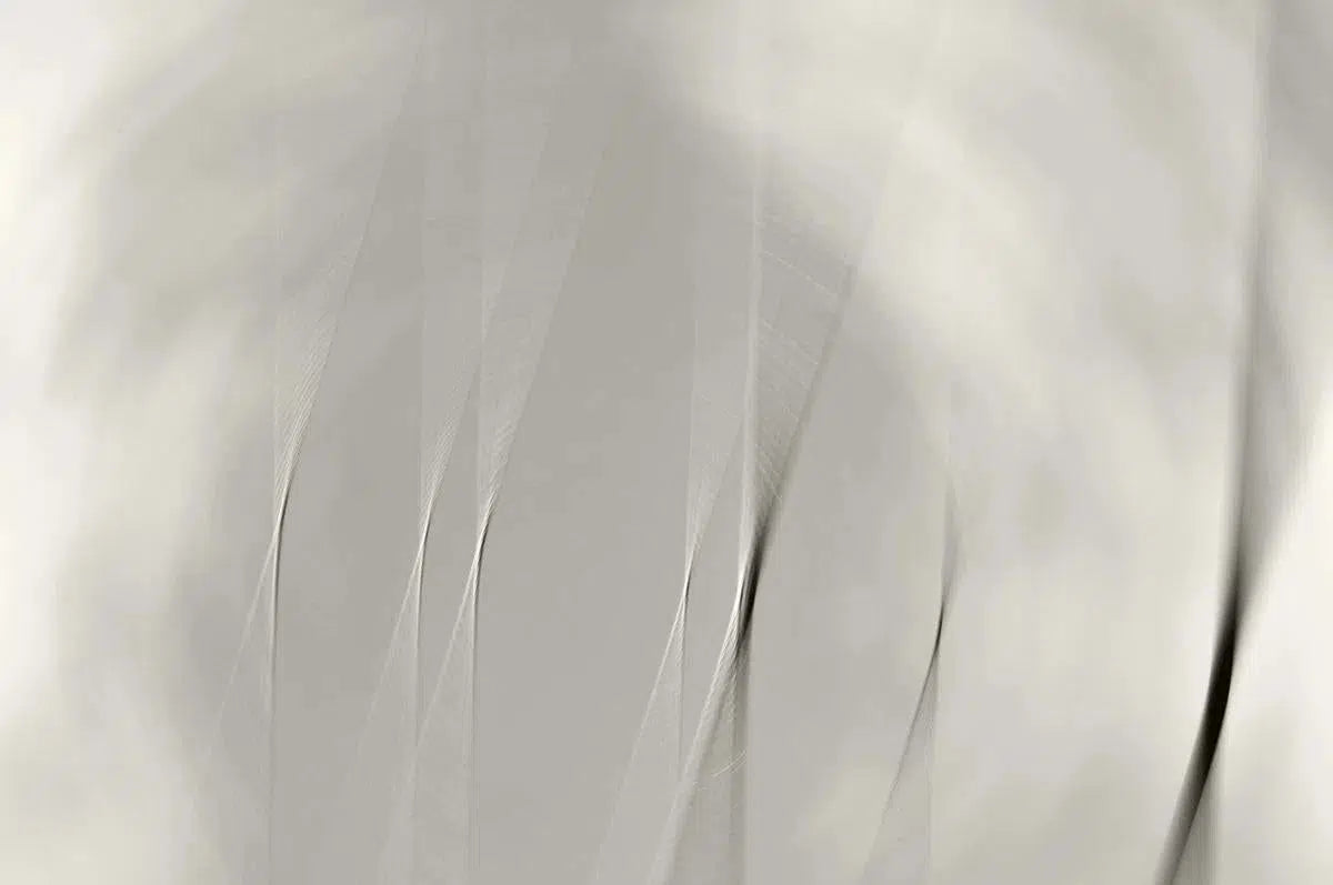 Alien Helicopters, by Alex Axon-PurePhoto