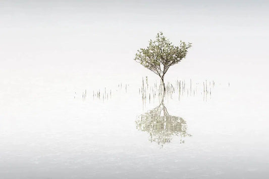 Alone, by Anthony Lamb-PurePhoto