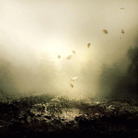 And I Keep Falling, by Martin Stranka-PurePhoto