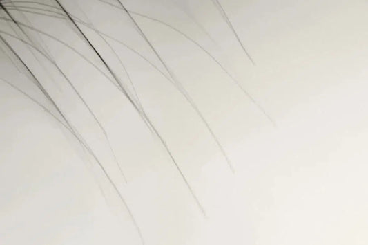 Arrows Falling, by Alex Axon-PurePhoto