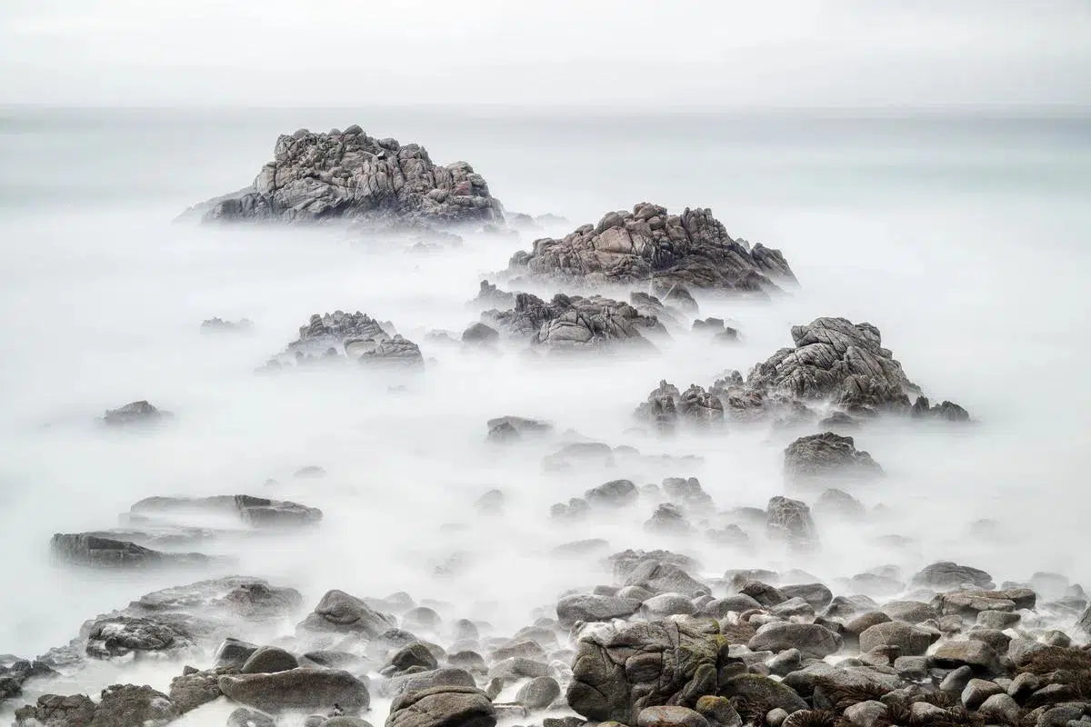 Asilomar Rock Study 1 - Pacific Grove, by Steven Castro-PurePhoto