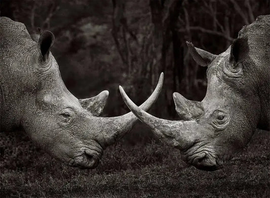 At Arms, by Drew Doggett-PurePhoto