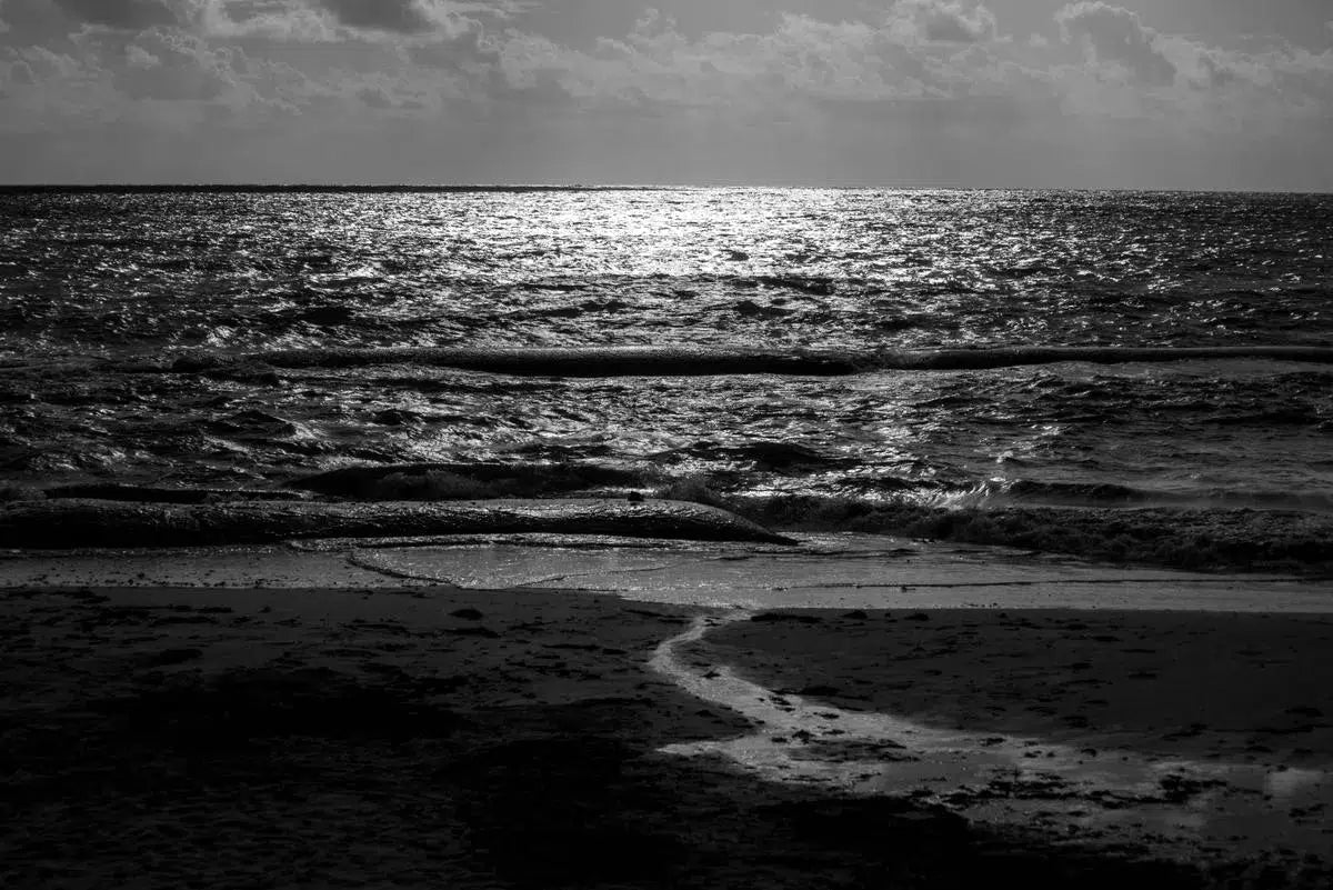 At first Light no 03, by Francesca Ritchey-PurePhoto