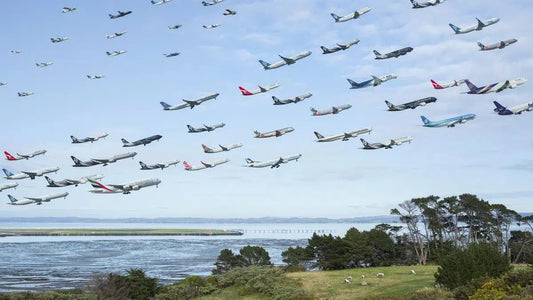 Auckland International 23L, by Mike Kelley-PurePhoto