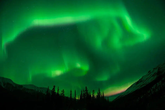 Auroras over the Rockies 1, by Garret Suhrie-PurePhoto