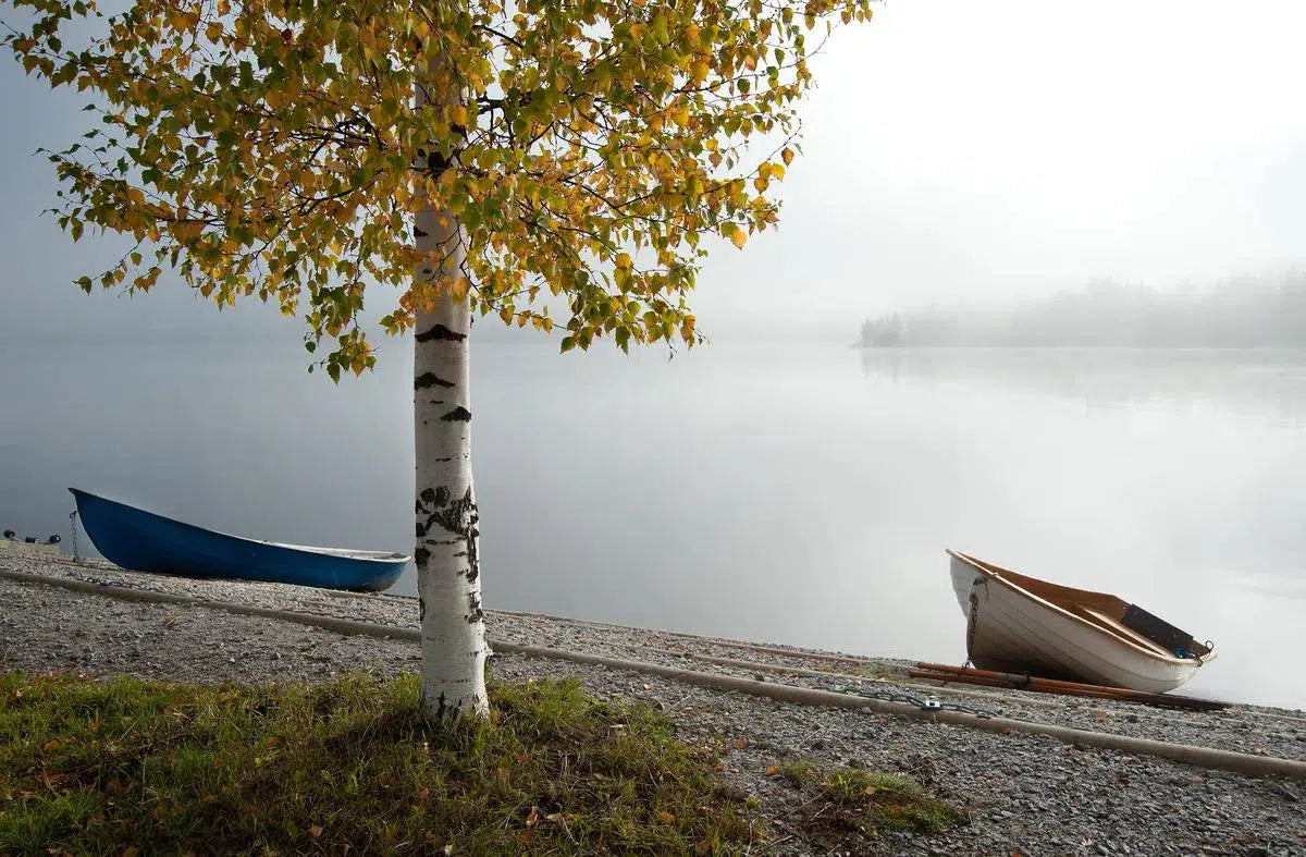 Autumn Boats, by Ari Salmela-PurePhoto