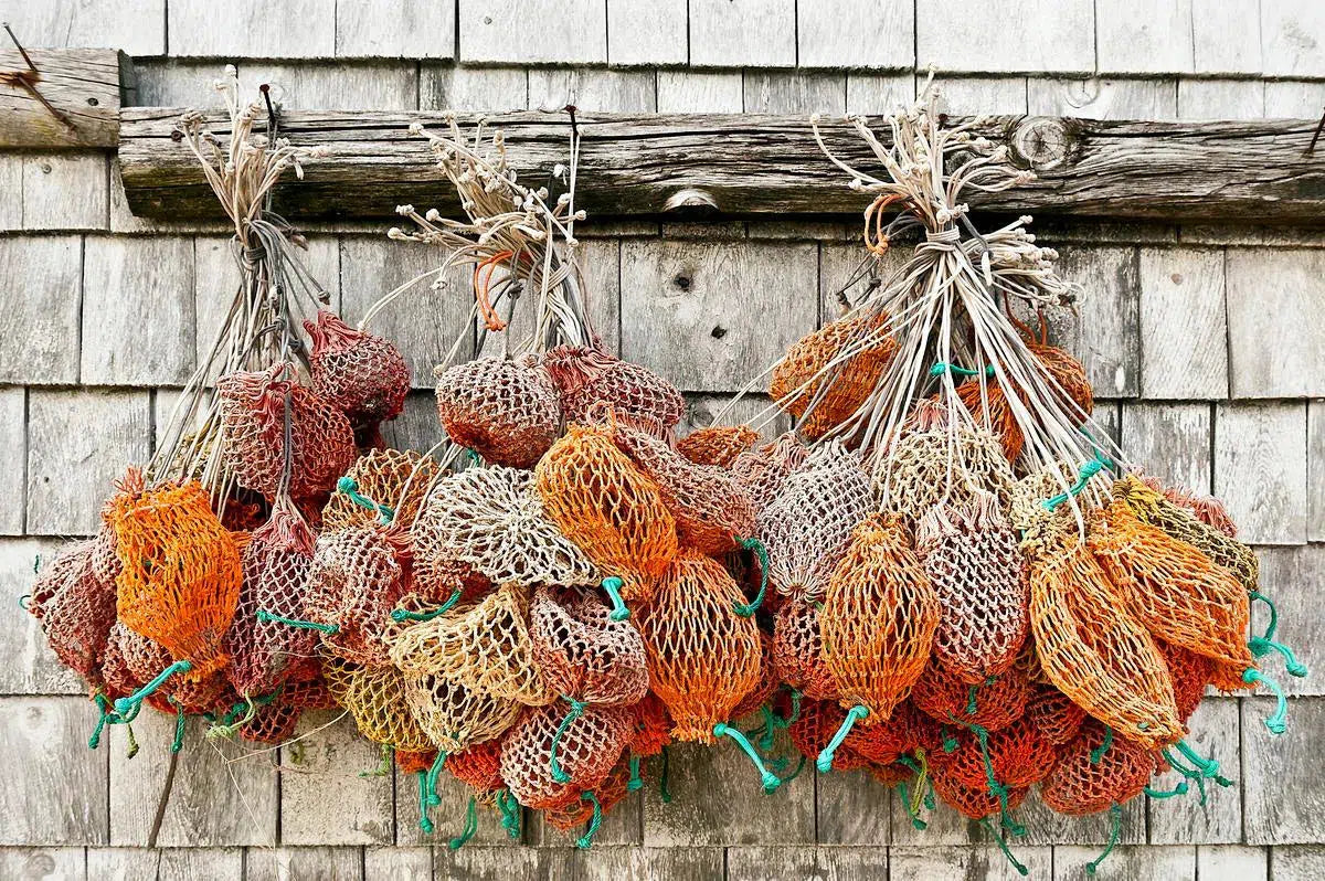 Bait bags hang from a dockside shed, Maine, by John Greim-PurePhoto