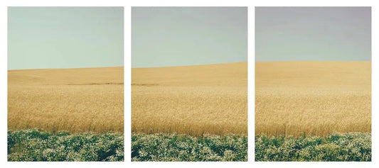 Below The Surface Triptych, by Dale Hedden-PurePhoto