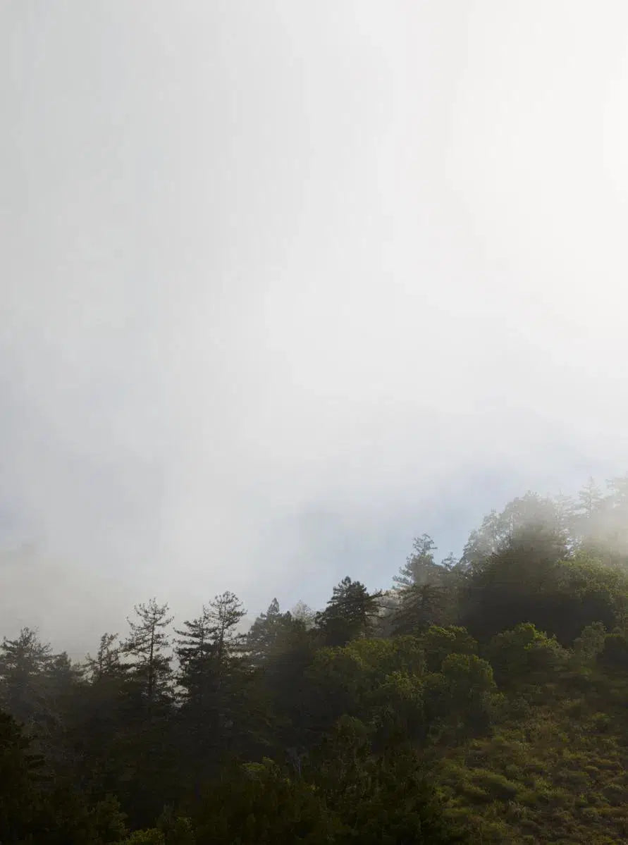 Big Sur I, by Alex Hoerner-PurePhoto