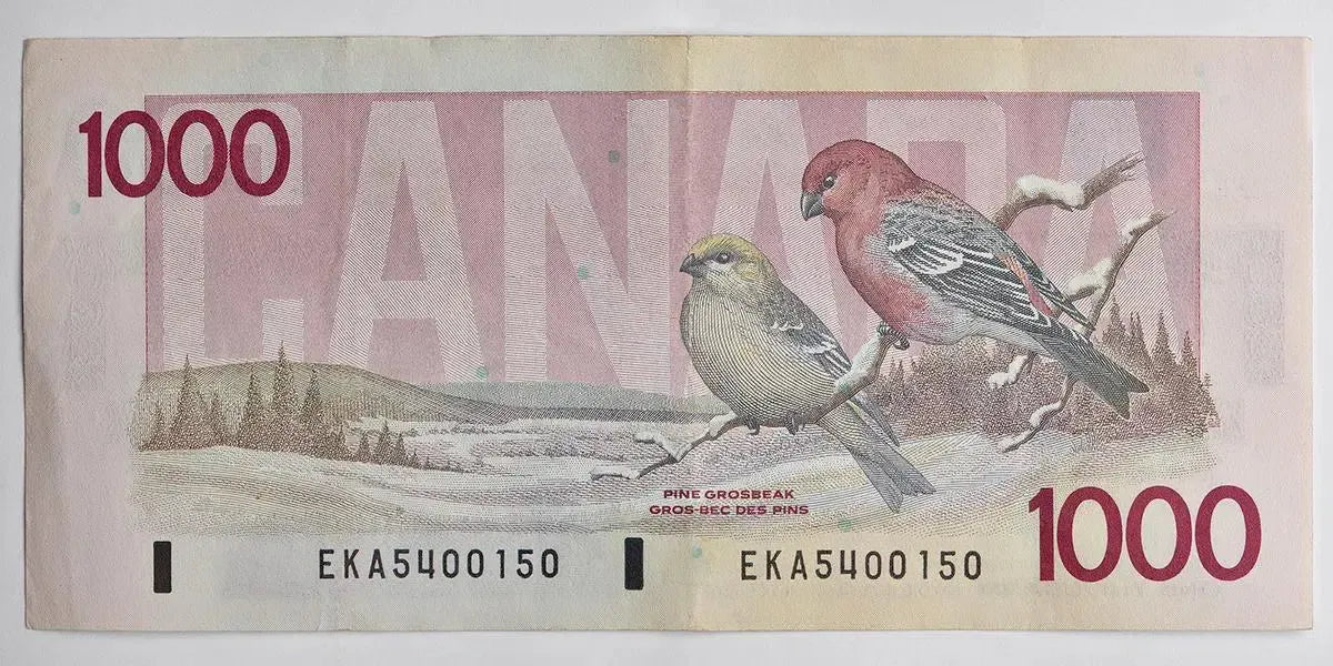 Bird Series $1000 (Pinky), by Peter Andrew-PurePhoto