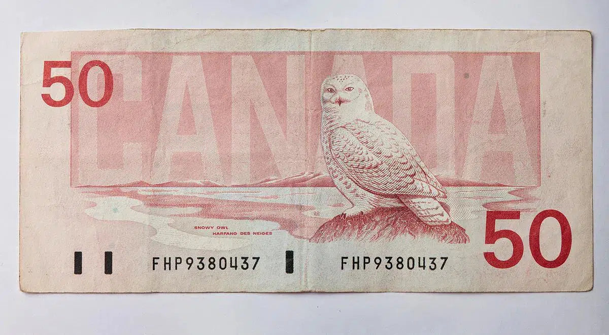 Bird Series $50, by Peter Andrew-PurePhoto