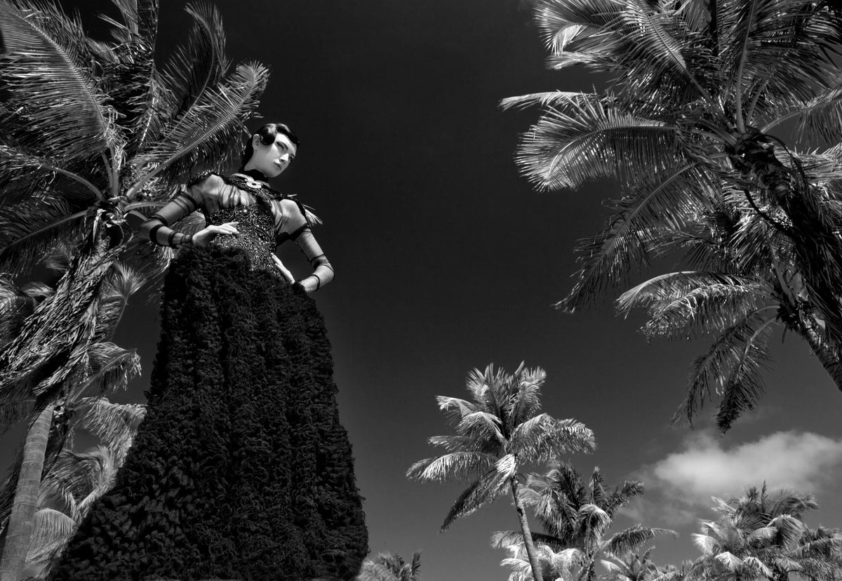 Black Dress, by Greg Lotus-PurePhoto