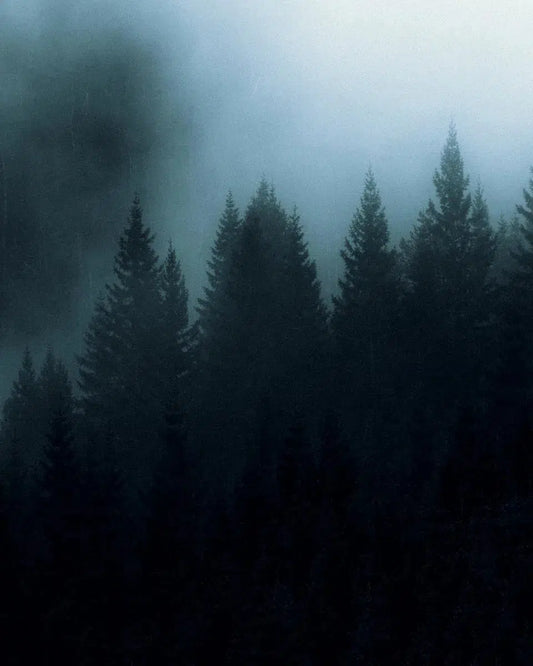 Black Woods I – Norway, by Jan Erik Waider-PurePhoto