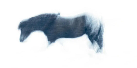Blizzard, by Carys Jones-PurePhoto