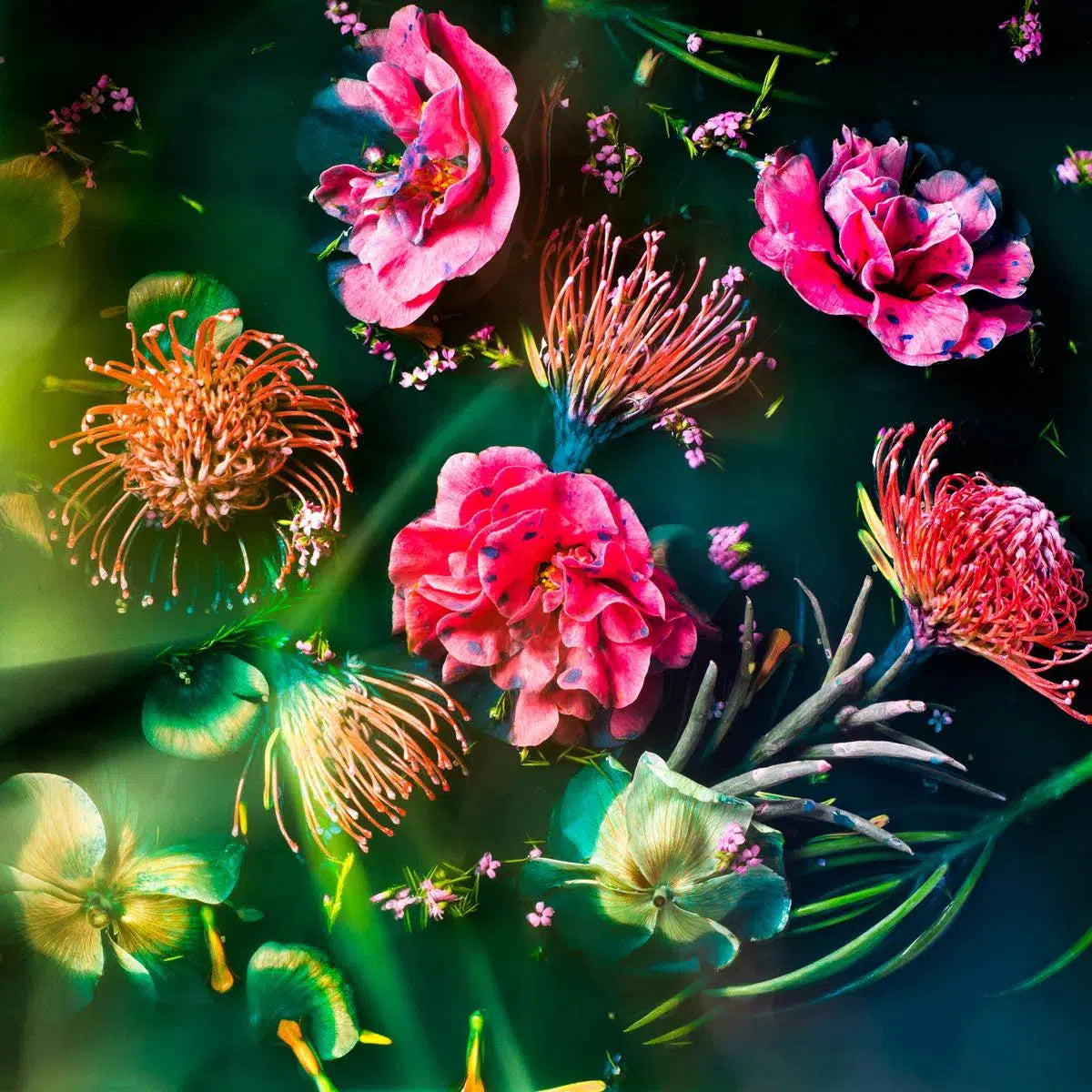 Blue Lagoon, by Javiera Estrada-PurePhoto