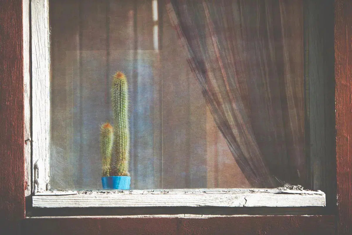 Blue Pot, by Ari Salmela-PurePhoto