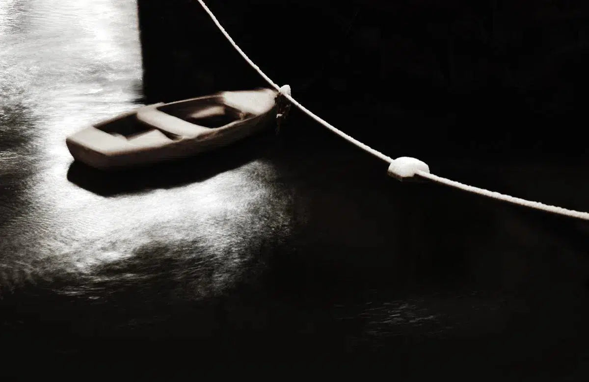 Boat on Danube, by Alex Axon-PurePhoto