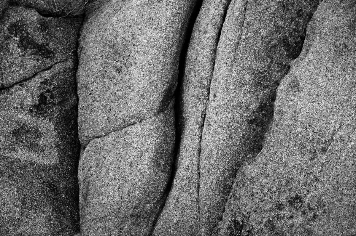 boulder 01, by Francesca Ritchey-PurePhoto