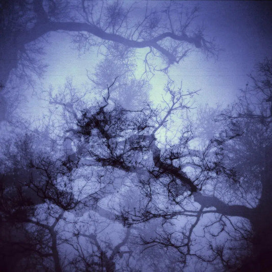Brainstorm, by Andrea Buzzichelli-PurePhoto