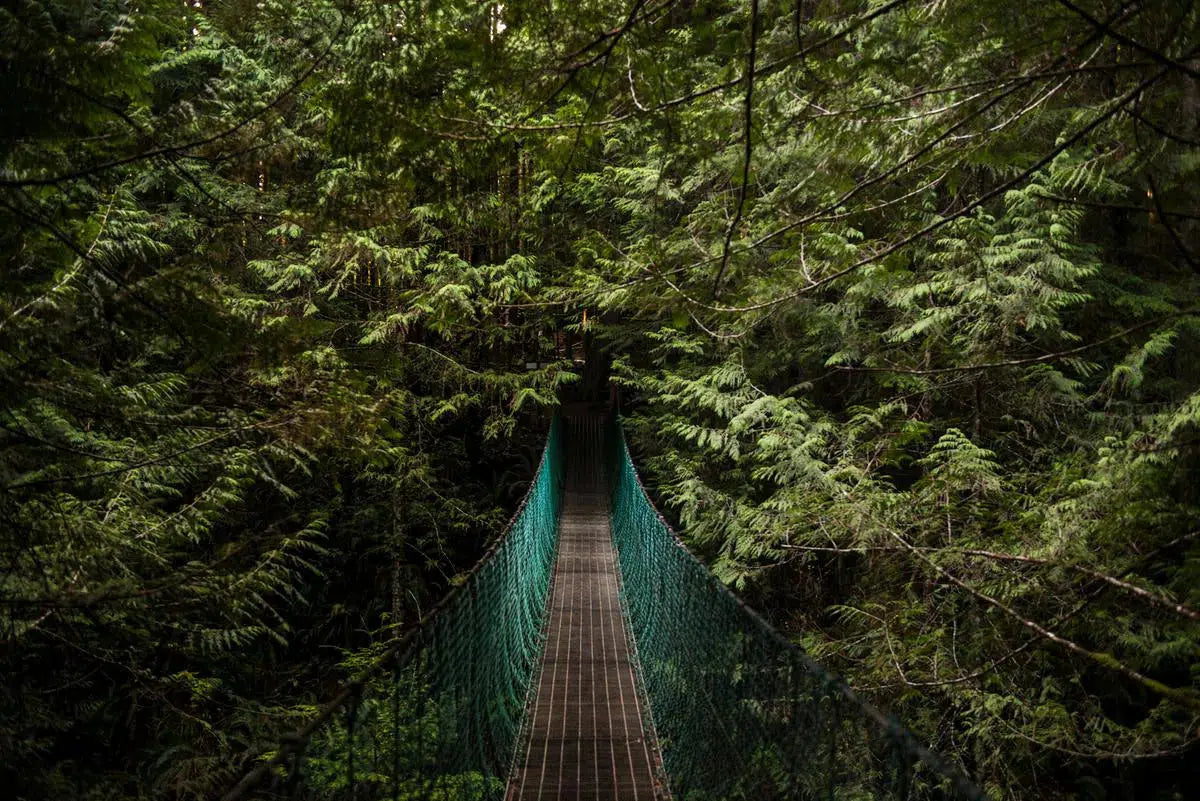 Bridge to the Wilderness, by Garret Suhrie-PurePhoto
