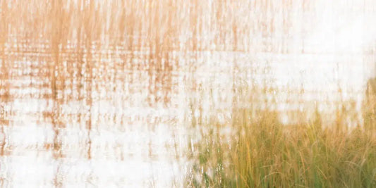 Bright Autumn Day, by Ari Salmela-PurePhoto