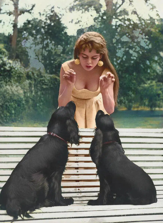 Brigitte Bardot with her two dogs, from The Wild Ones collection-PurePhoto