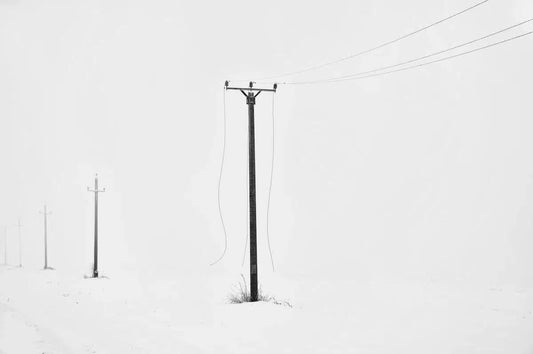Broken Strings, by Alex Axon-PurePhoto