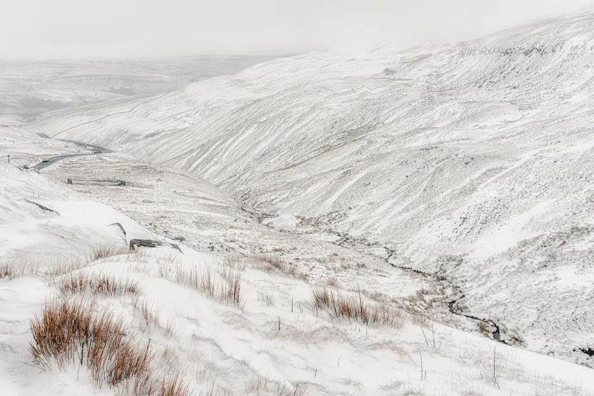 Buttertubs Pass #02, by Alan Ranger-PurePhoto