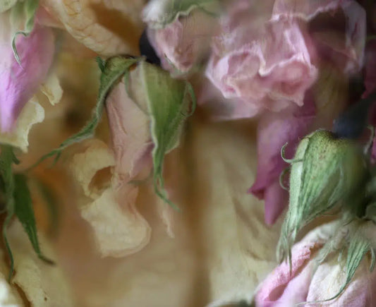 COLORFUL INCIDENT, by Nicole Katano-PurePhoto