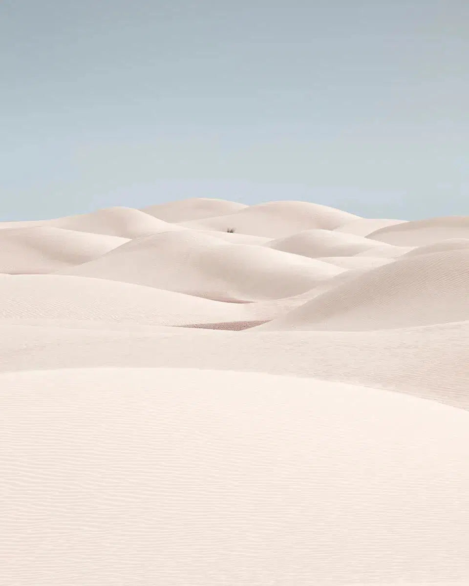 Captivation, by Anthony Lamb-PurePhoto