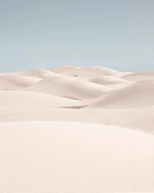 Captivation, by Anthony Lamb-PurePhoto