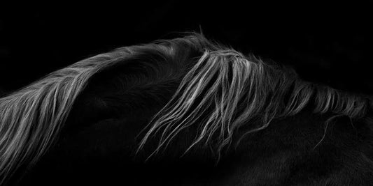Cascade, by Carys Jones-PurePhoto