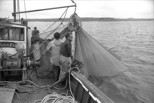 Catch of the Day, by Raymond Martinot-PurePhoto