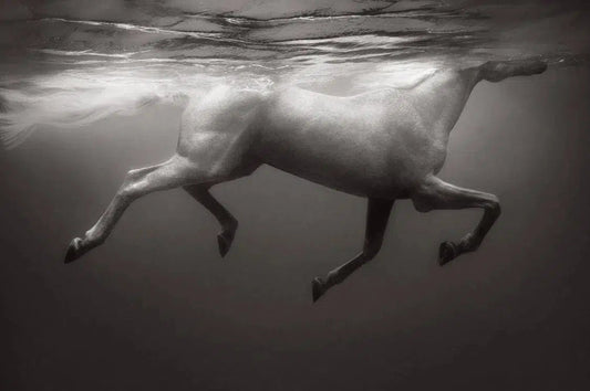 Celestial Light, by Drew Doggett-PurePhoto