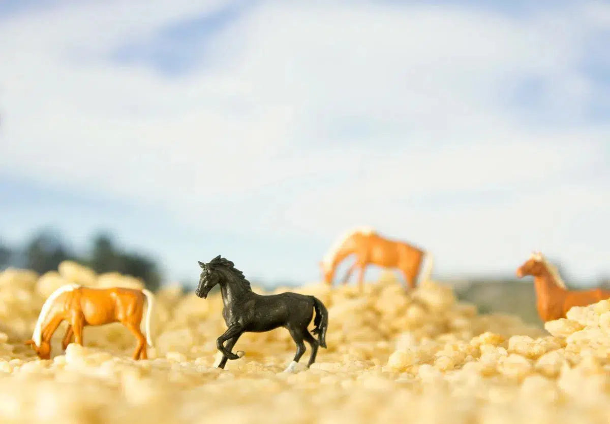 Cereal - Horses 1, by Matthew Carden-PurePhoto