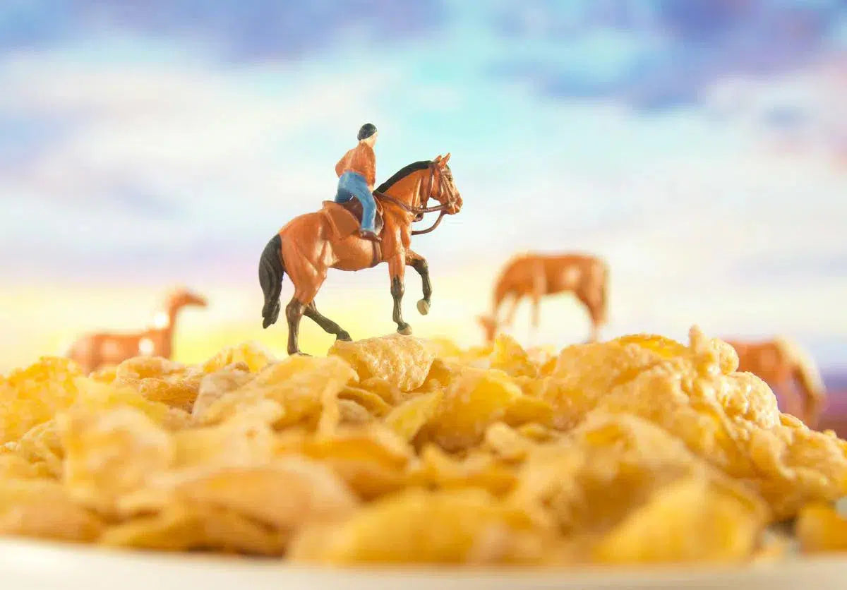 Cereal - Horses 3, by Matthew Carden-PurePhoto