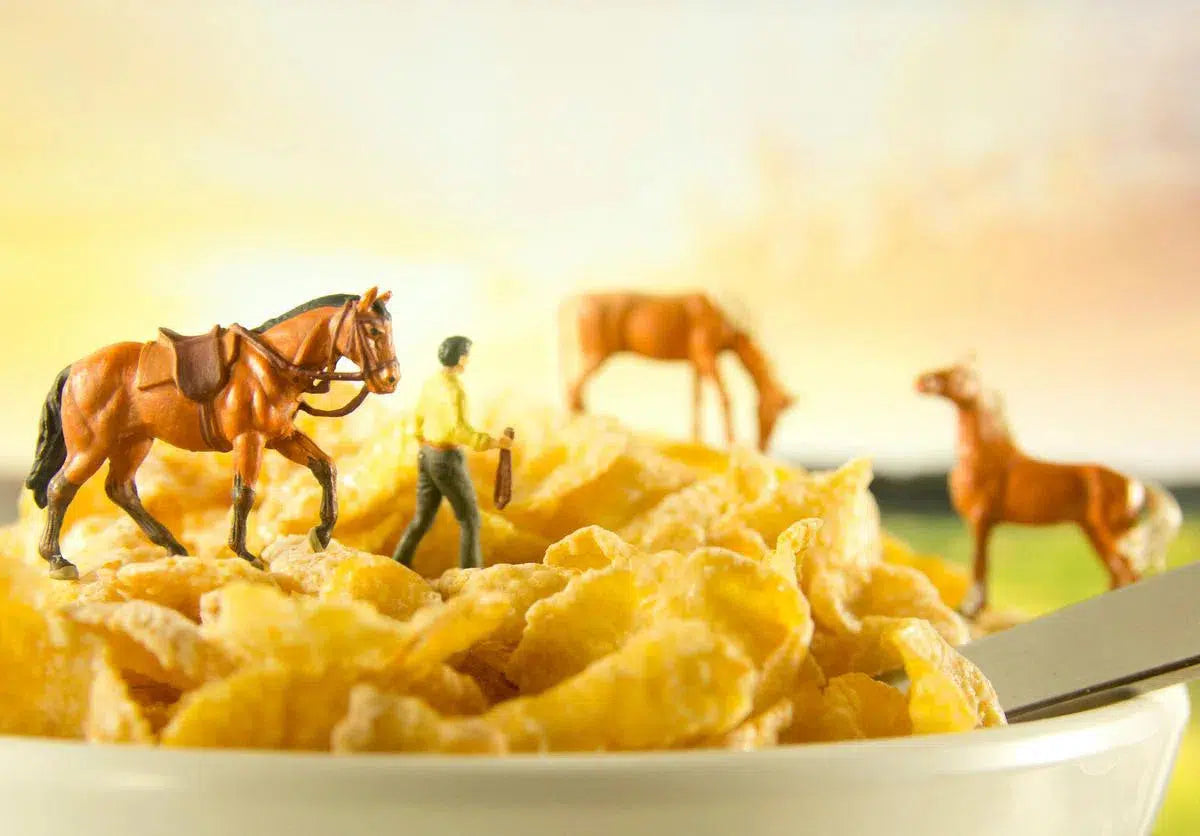 Cereal - Horses 4, by Matthew Carden-PurePhoto