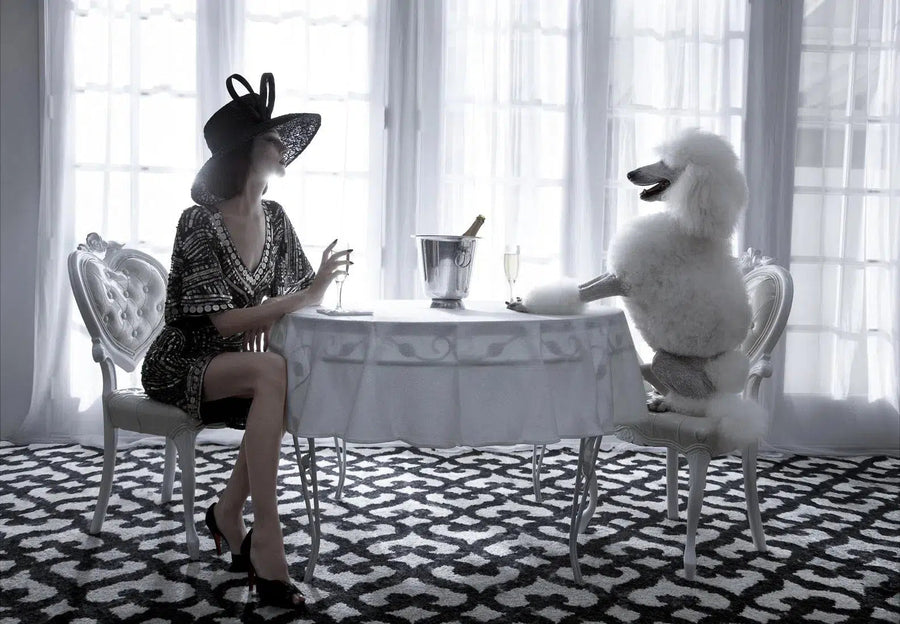 Champagne Poodle, by Greg Lotus-PurePhoto