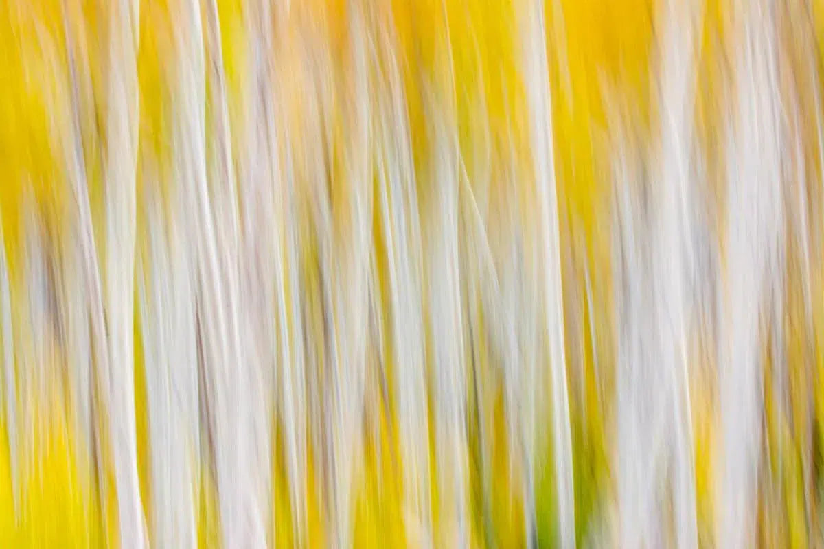 Change of Seasons, by Mike Valdez-PurePhoto