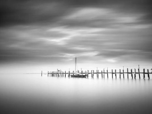China Camp Study 1, by Steven Castro-PurePhoto