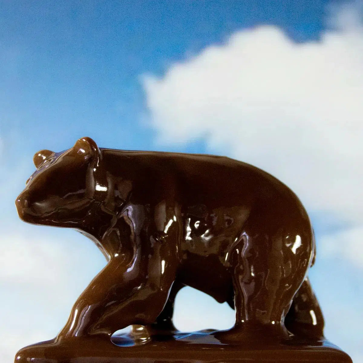 Chocolate Bear 1, by Matthew Carden-PurePhoto