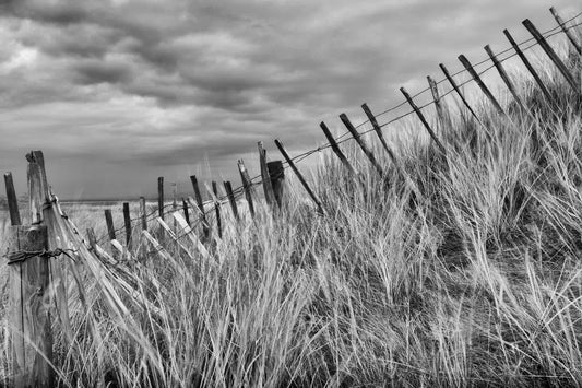 Coastal Fence, by Alan Ranger-PurePhoto