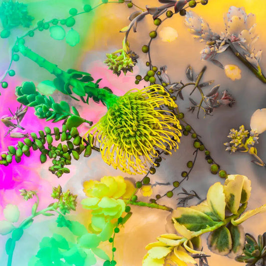 Coconut Icecream, by Javiera Estrada-PurePhoto