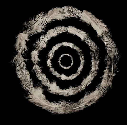 Concentric Feathers, by Trinette + Chris-PurePhoto