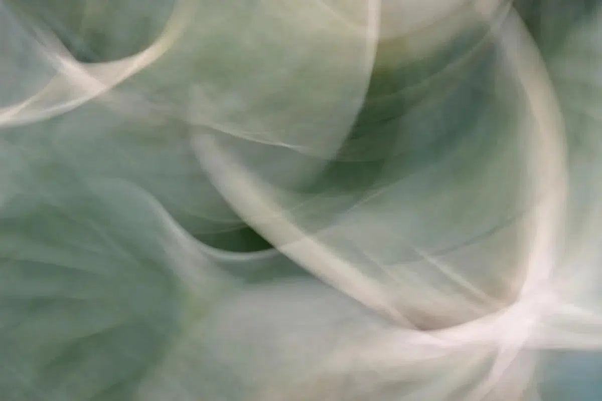 Confluence, by Gillian Lindsay-PurePhoto