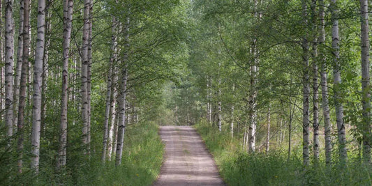Cottage Road, by Ari Salmela-PurePhoto